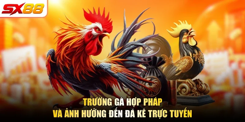 Trường gà hợp pháp và ảnh hưởng đến đá kê trực tuyến
